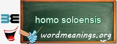 WordMeaning blackboard for homo soloensis